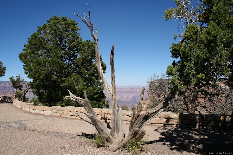 Desert View Drive - Desert View Drive, Desert View Dr, Grand Canyon Village, AZ, USA