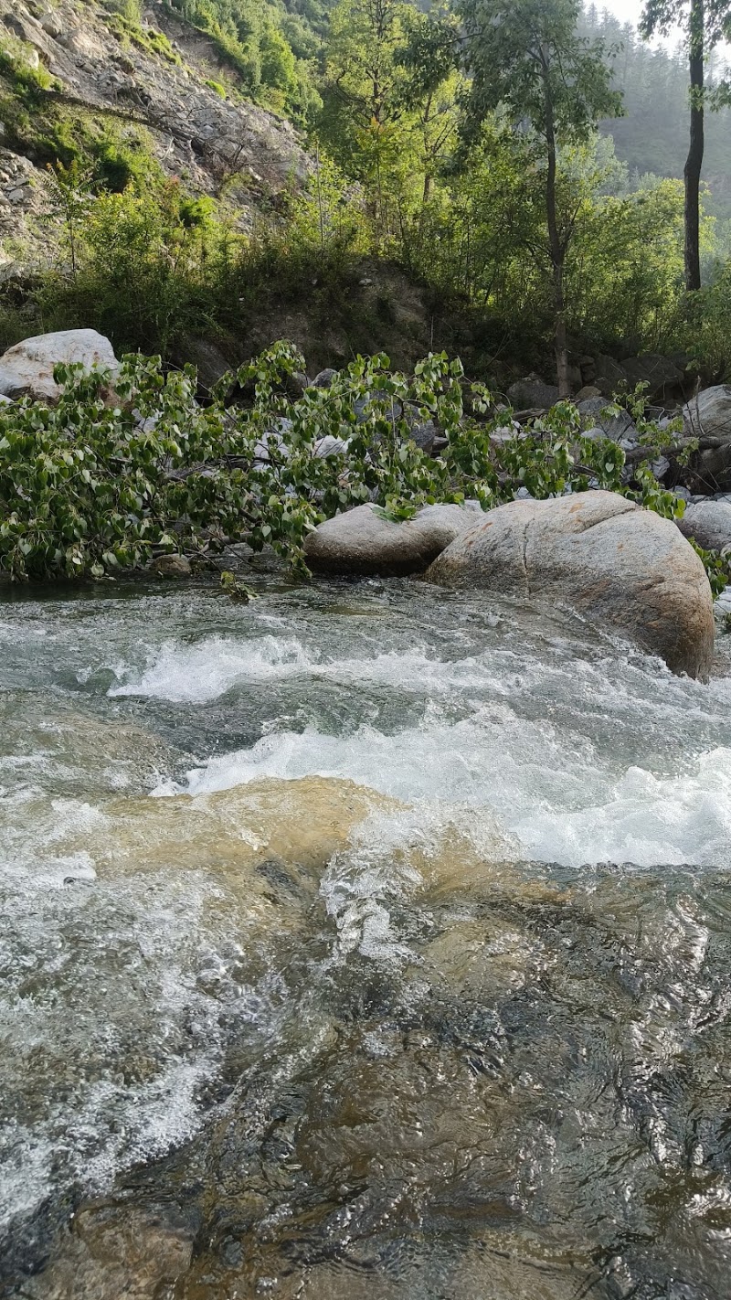 Tirthan River Front Farm Stay - Tirthan River Front Farm Stay near kangra Bank, Gushaini, Banjar, Himachal Pradesh 175123, India