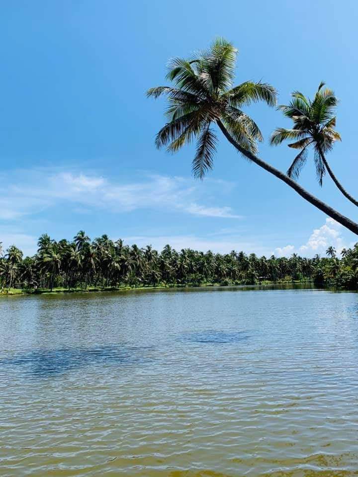Kerala Tourism Information - Kerala Tourism Information, Kumaranellur, Kerala 679552, India