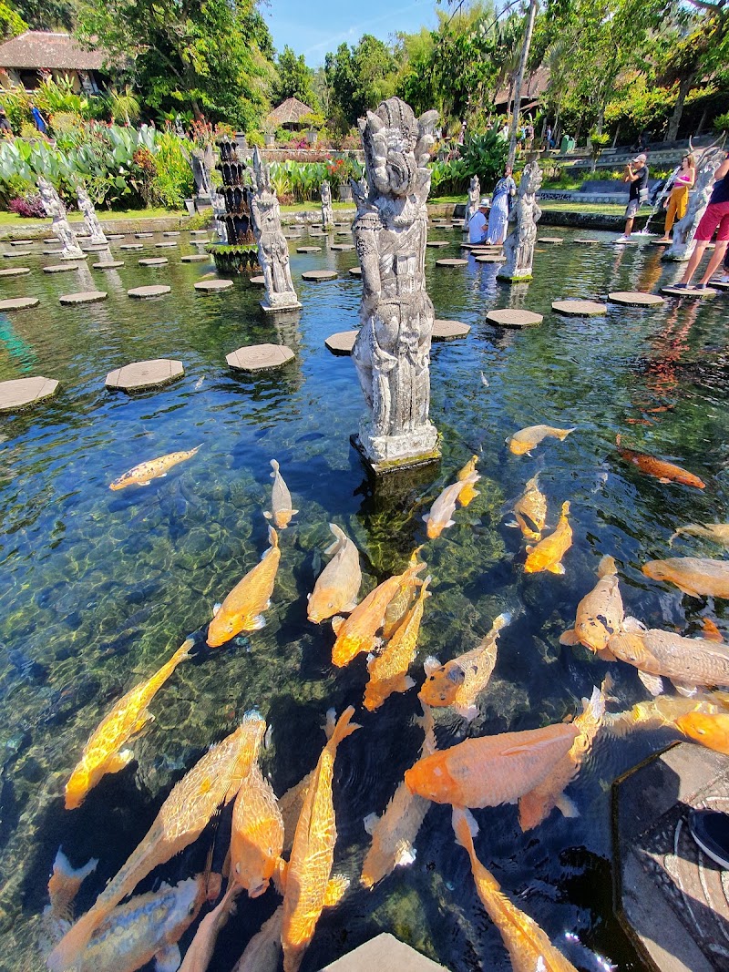 Tirta Gangga - Tirta Gangga, HHQQ+836, Jalan Raya Abang Desa Adat Jl. Raya Tirta Gangga, Ababi, Kec. Abang, Kabupaten Karangasem, Bali 80852, Indonesia