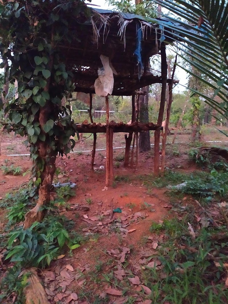 Narayan farm,valpoi Goa. - Narayan farm,valpoi Goa., Koparde, Valpoy, Goa 403506, India