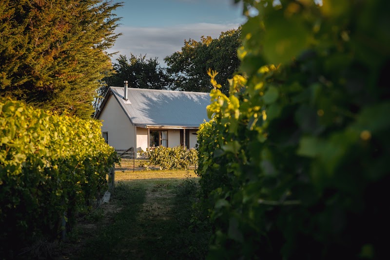 St Leonards Vineyard Cottages - St Leonards Vineyard Cottages, 18 Saint Leonards Road, Springlands, Blenheim 7271, New Zealand