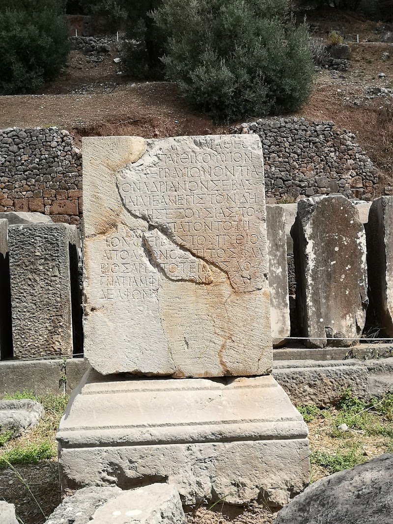 The Ancient Theater of Delphi - The Ancient Theater of Delphi, Delphi 330 54, Greece
