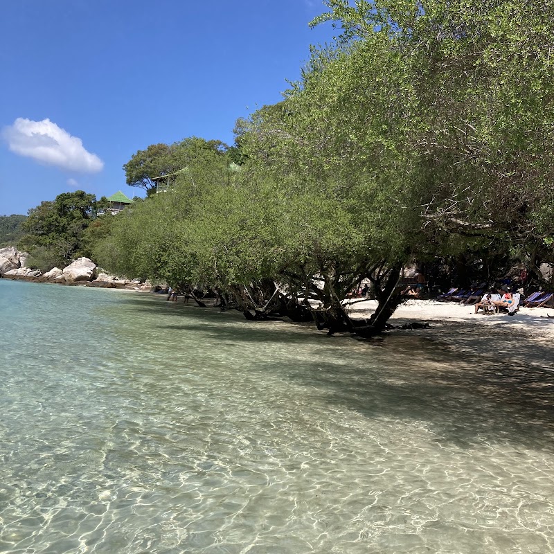 Freedom Beach - Freedom Beach 20 Moo 3, Koh Tao, อำเภอเกาะพะงัน สุราษฎร์ธานี 84280, Thailand