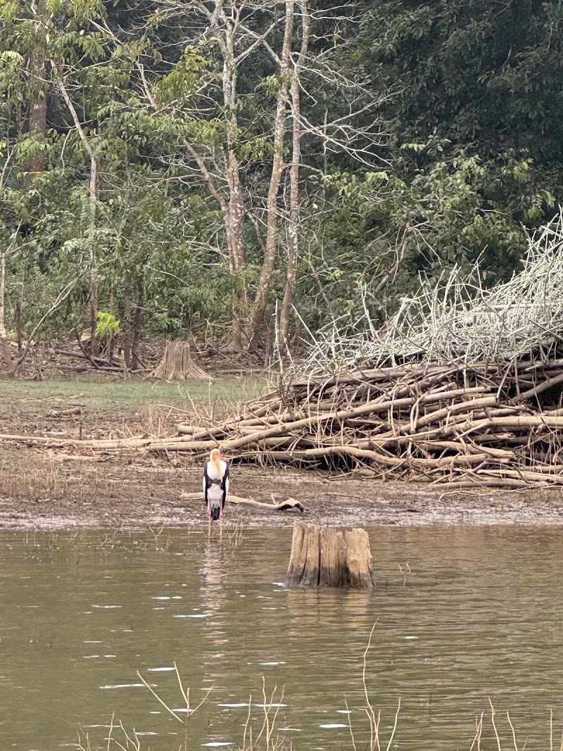Kabini back water - Kabini back water, X7F8+9G4, Sundapura, Krishnarajapura, Halemagge, Karnataka 571114, India