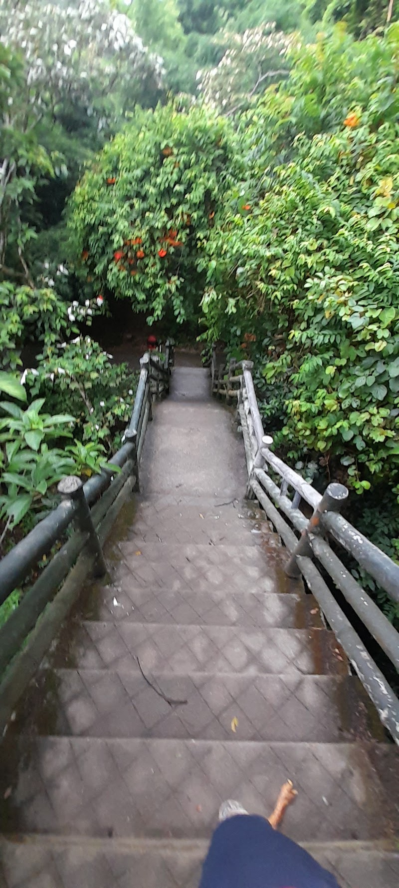 Động Trung Trang - Động Trung Trang, Cat Hai, Hai Phong 05418, Vietnam