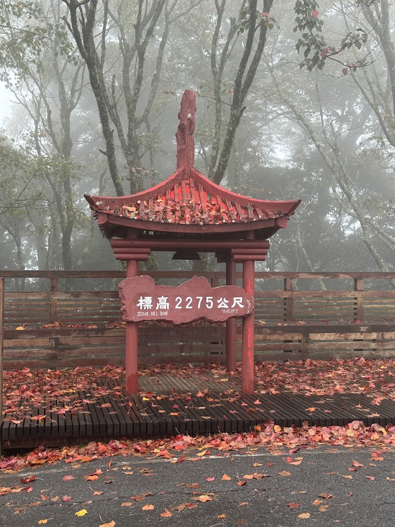 Daxueshan National Forest Recreation Area - Daxueshan National Forest Recreation Area, 424, Taiwan, Taichung City, Heping District, Zhongkeng Village, 雪山路18號