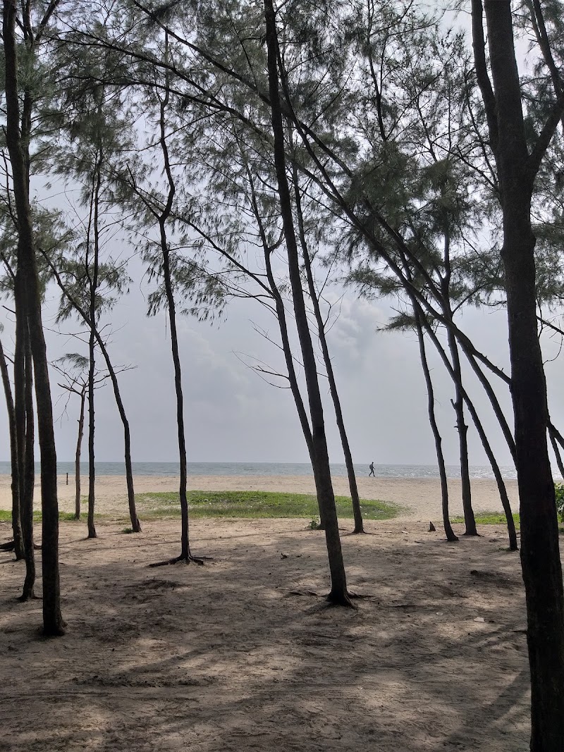 Alleppey Pine Forest (Mini) - Alleppey Pine Forest (Mini) F8Q9+4MR, Kunnumpuram, Alappuzha, Keralam 688012, India
