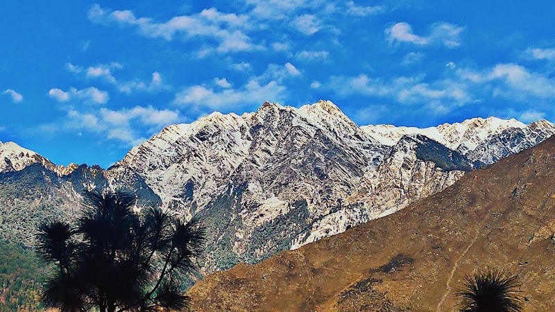 Nanda Devi Wildlife Sanctuary - Nanda Devi Wildlife Sanctuary, Nandadevi range, HHGH+2WV, Auli Rd, Joshimath Army Area, Joshimath, Uttarakhand 246443, India