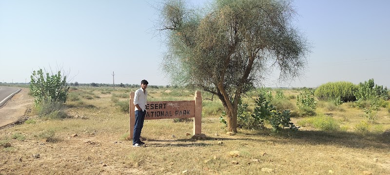 Himmat Heritage home stay - Himmat Heritage home stay Khoohdi, Rajasthan 345034, India