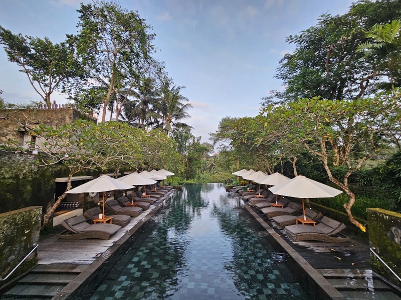 Infinity forest pool - Infinity forest pool, F7PH+3CW, Peliatan, Ubud, Gianyar Regency, Bali 80552, Indonesia