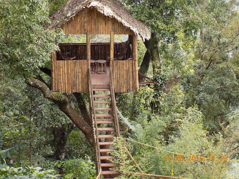 Tea Valley Resort - Tea Valley Resort Bisonvally Road, Pothamedu, Pallivasal, Munnar, Pallivasal, Kerala 685612, India
