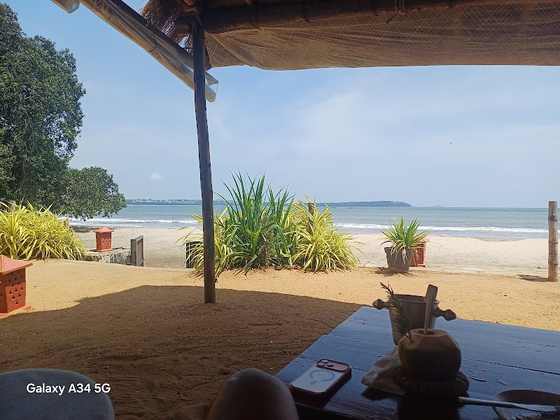 Tereza Beach House - Tereza Beach House 787, Nerul - Reis Margos Rd, Nerul, Goa 403114, India