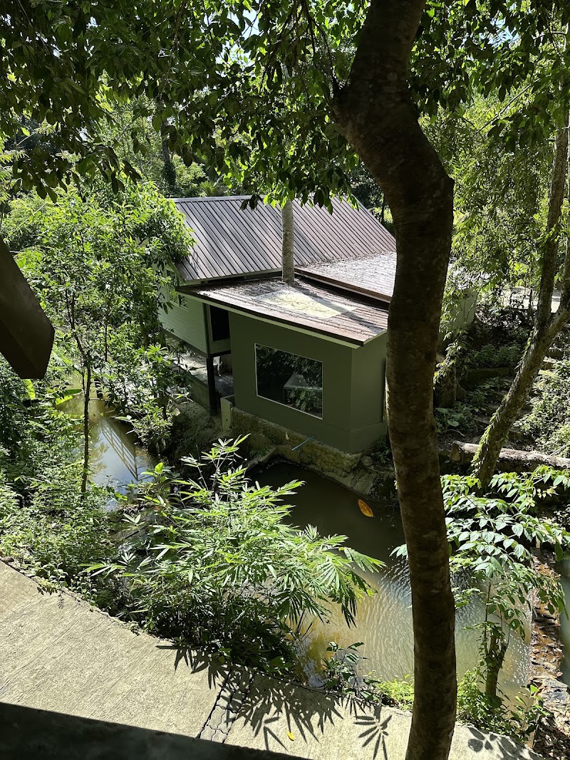Baan Rai Me Rak Organic Farmstay - Baan Rai Me Rak Organic Farmstay, 67/24 หมู่4 บ้านพารา Tambon Pa Klok, Amphoe Thalang, Chang Wat Phuket 83110, Thailand