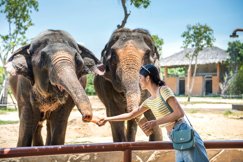 VinWonders Nam Hội An - VinWonders Nam Hội An, Võ Chí Công, Thăng An, Đà Nẵng, Vietnam