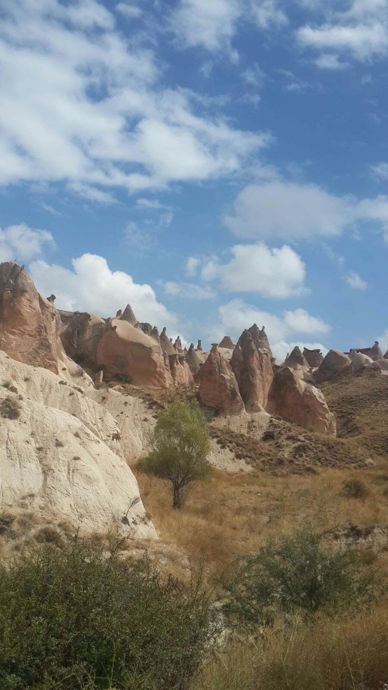 Cappadocia Tours - Cappadocia Tours, Kartaltepe, Alpay İzer Sokak & İncirli Caddesi No:4, 34144 Bakırköy/İstanbul, Türkiye
