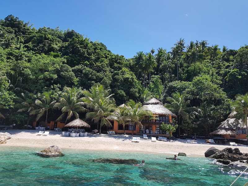 Apo Island Beach Resort - Apo Island Beach Resort, Apo Island, Dauin, 6217 Negros Oriental, Philippines