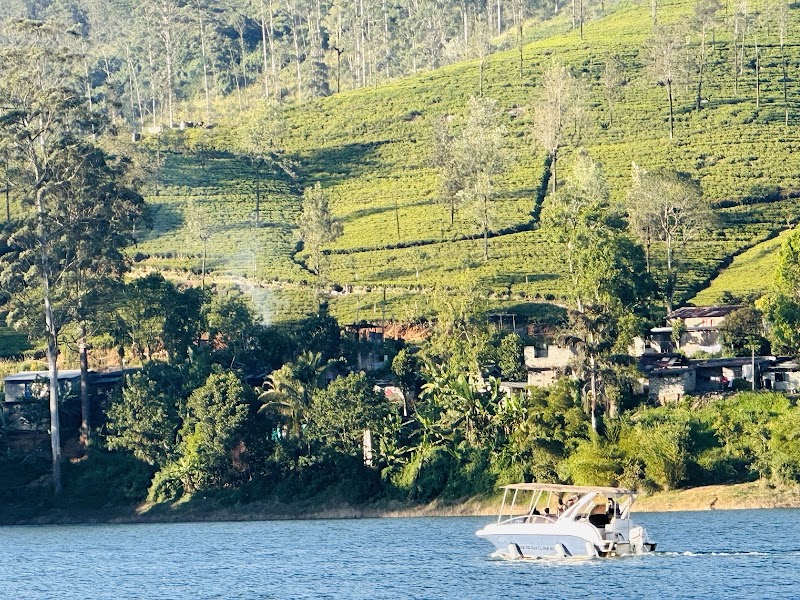 Dunkeld Tea Estate - Dunkeld Tea Estate, Dickoya, near Hatton, Sri Lanka