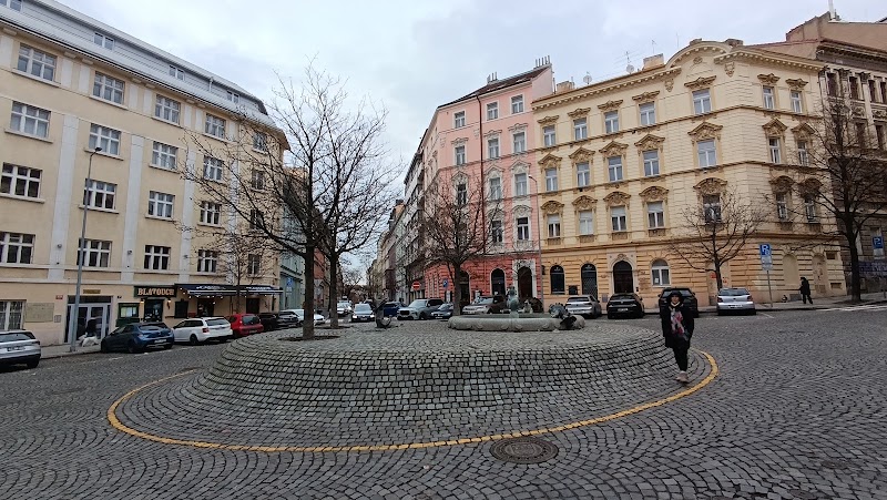 Fontána Vinohrady - Fontána Vinohrady Americká 120 00, Vinohrady, 120 00 Praha-Praha 2, Czechia