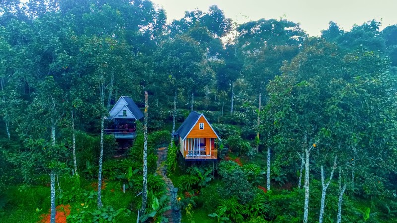 Munnar Treehouse - Munnar Treehouse 22PV+V47, Munnar, Kerala 685565, India