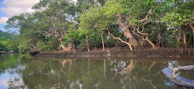 Palolem boat backwater trip - Palolem boat backwater trip Beach, near st.cruz chapel, Palolem, Canacona, Goa 403702, India