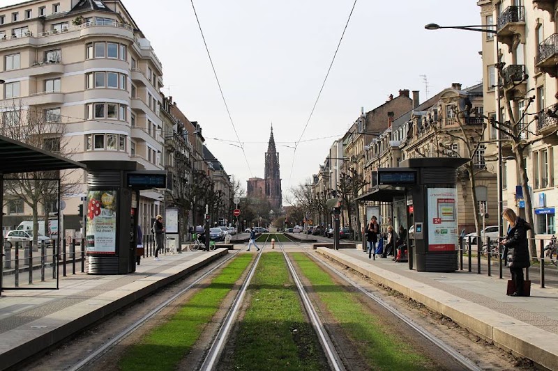 Parc du Contades - Parc du Contades 20 Av. de la Paix, 67000 Strasbourg, France
