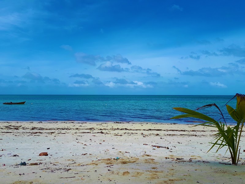 White Coral Beach Resort - White Coral Beach Resort No.5, Kalapathar Beach Road, Vijay nagar, Havelock, Andaman and Nicobar Islands 744211, India