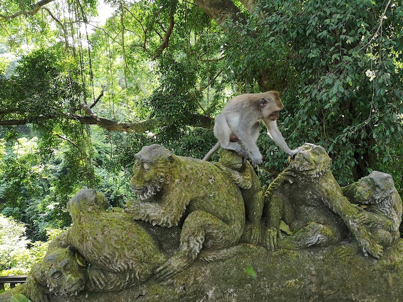 Sacred Monkey Forest Sanctuary - Sacred Monkey Forest Sanctuary Jl. Monkey Forest, Ubud, Kecamatan Ubud, Kabupaten Gianyar, Bali 80571, Indonesia