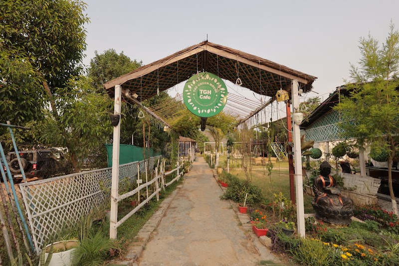 The GreenHouse Cafe (TGH Cafe), Leopard Trail, Aravali - The GreenHouse Cafe (TGH Cafe), Leopard Trail, Aravali The Greenhouse Cafe Leopard Trail, Aravalli Hills, Pandala, Garat Pur Bas, Gurugram, Haryana 122101, India
