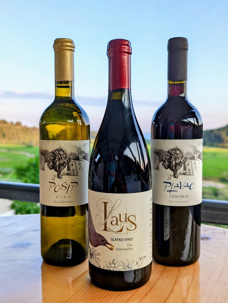 O.P.G. Laus - Winery - O.P.G. Laus - Winery, D118 202, 20273, Čara, Croatia