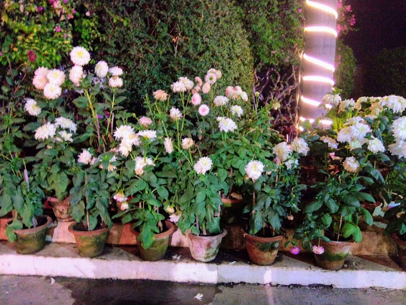Swayamsiddha Bhawan - Swayamsiddha Bhawan, Bhatli Rd, Bandutikra, Bargarh, Odisha 768028, India