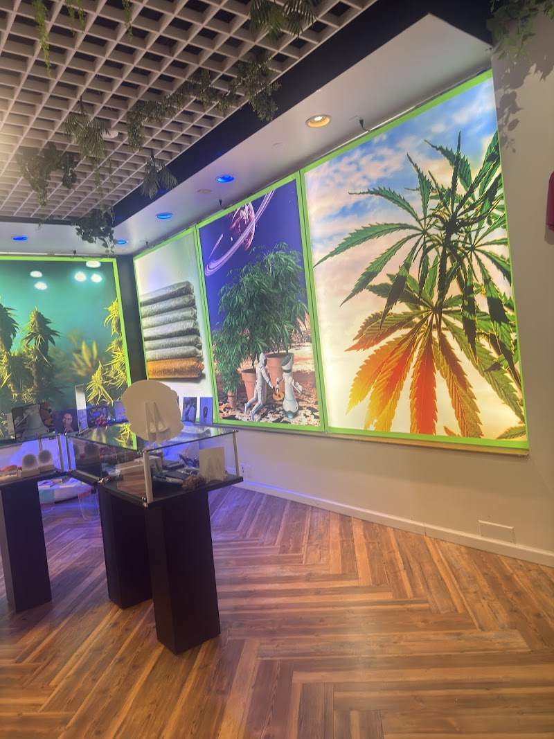 Cloud Nine Dispensary - Cloud Nine Dispensary 513 US-22, North Plainfield, NJ 07060, USA