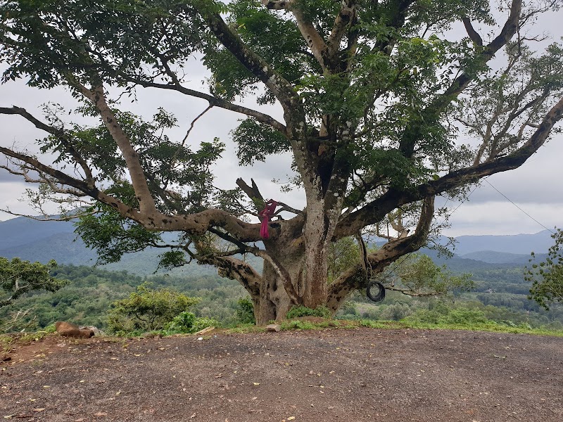 BR Hills Temple Valley Viewpoint - BR Hills Temple Valley Viewpoint, 242Q+6J2, Biligiriranganabetta, Karnataka 571441, India