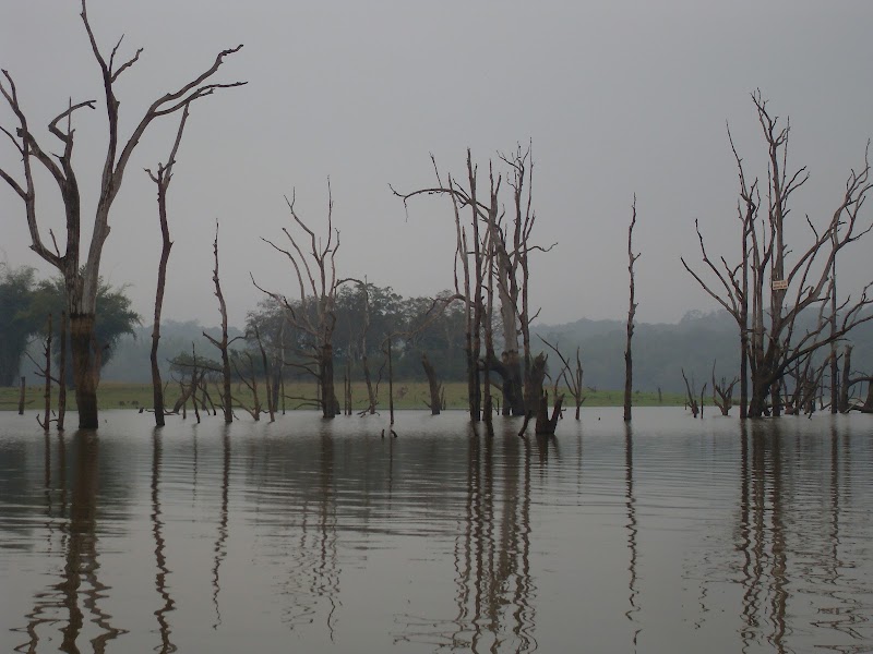 Kabini Reservoir - Kabini Reservoir, Karnataka