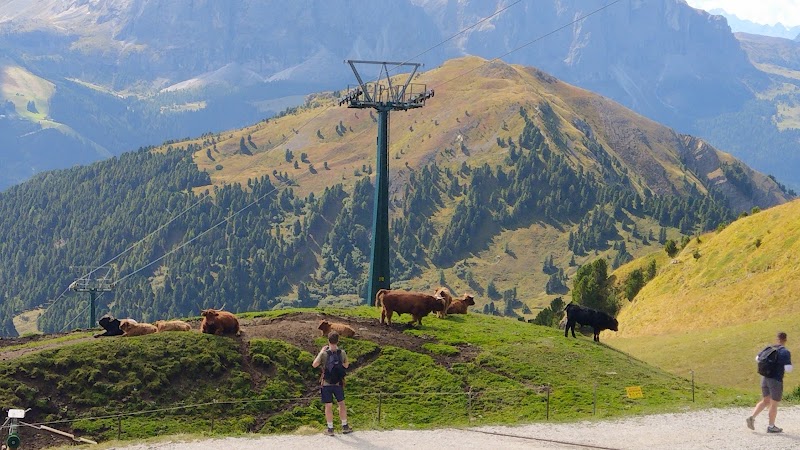 Col Raiser - Col Raiser Str. Ciaulonch, 22, 39047 Santa Cristina Valgardena BZ, Italy