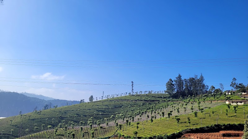 Ooty Toy Train Tourist Park - Ooty Toy Train Tourist Park Kathadimattam, Ooty, Tamil Nadu 643001, India
