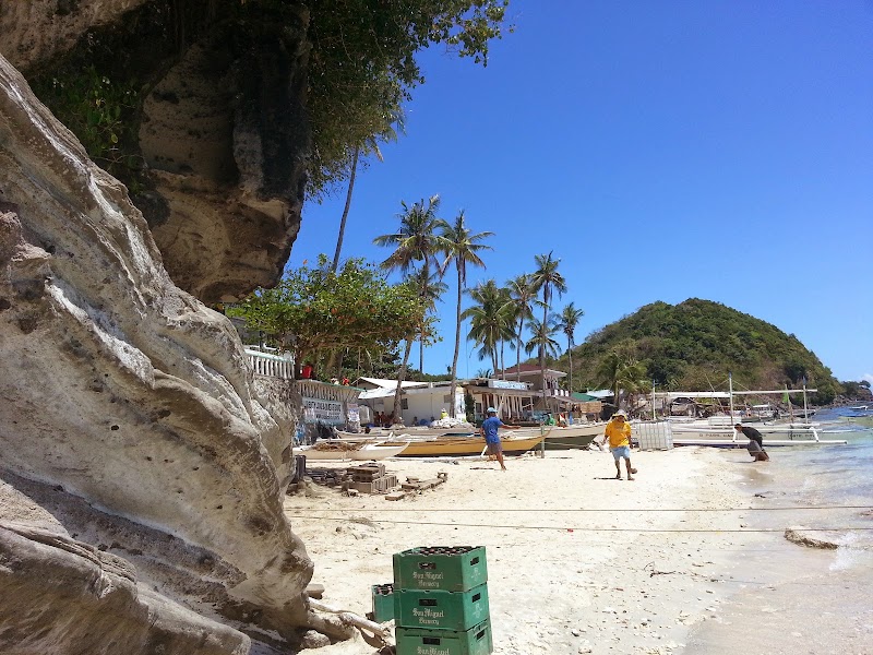 Apo Island - Apo Island, Dauin, 6217 Negros Oriental, Philippines