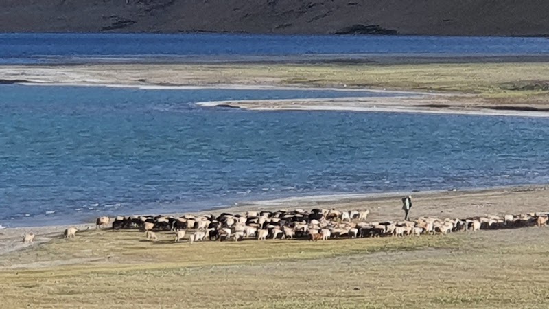 Kyago Tso - Kyago Tso, Leh 194101