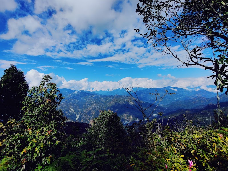 Delo Park - Delo Park, 3GQ3+M83, Deolo, Homes St.And Graihms, Kalimpong, West Bengal 734316, India