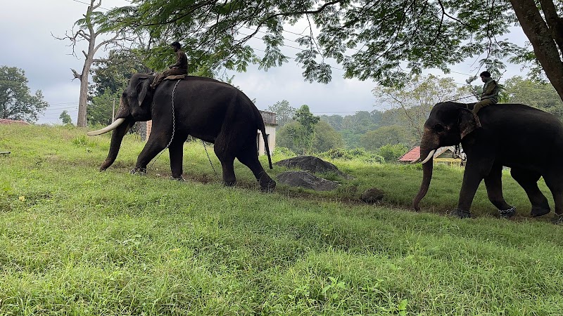 Jungle Holidayz - Jungle Holidayz Jungle Holidayz, Tours & Travels, Mavanalla ( P.O ),, Masinagudi,, Nilgiris, Masinagudi, Tamil Nadu 643223, India