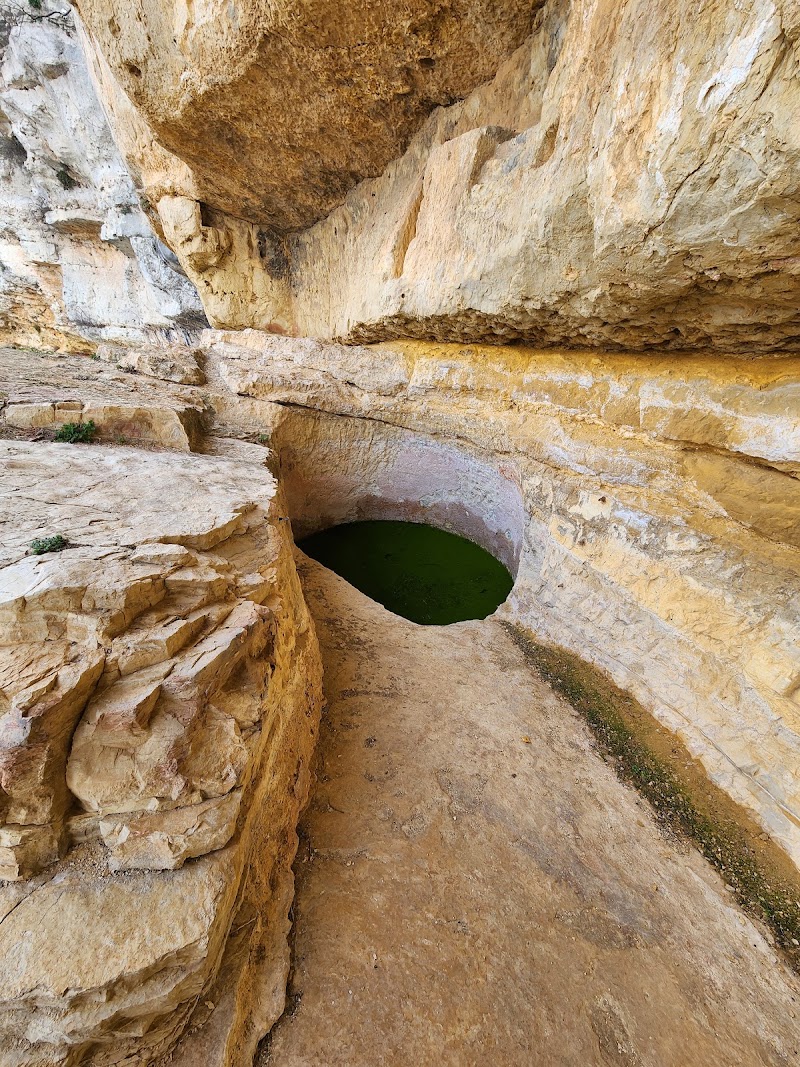 Shouf Biosphere Reserve /Niha Fortress - Shouf Biosphere Reserve /Niha Fortress, HJH5+XH2, Niha, Lebanon