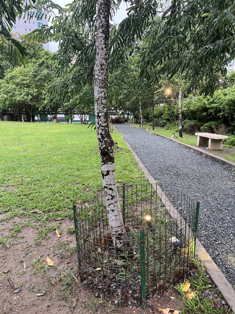 BGC Greenway Park - BGC Greenway Park, 130 McKinley Rd, Taguig, Metro Manila, Philippines