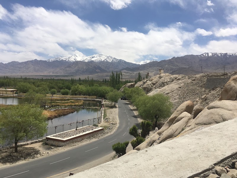Shey Palace - Shey Palace, Manali - Leh Hwy, Shey, 194201