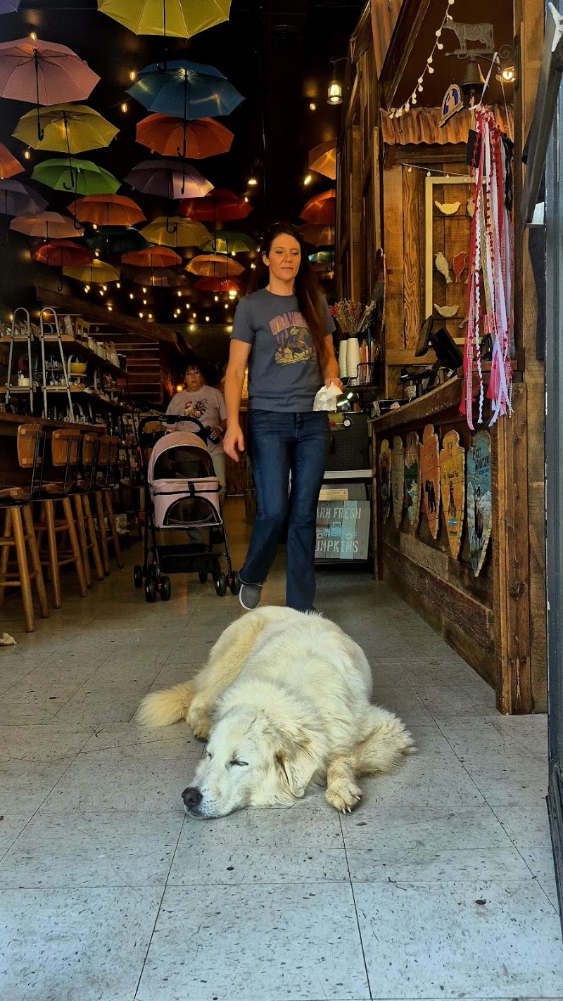 Blue Bird Boutique - Blue Bird Boutique 19 E A St, Newton, NC 28658, USA