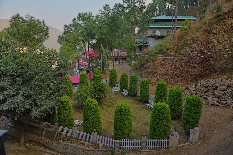 Whistling Pines Kasauli - Whistling Pines Kasauli Flat No 1 First Floor Village Mohal Naheech Kumarhatti to Nahan Road, About 1, km from Zero Point, to, Gandhigram road, Kasauli, Himachal Pradesh 173210, India
