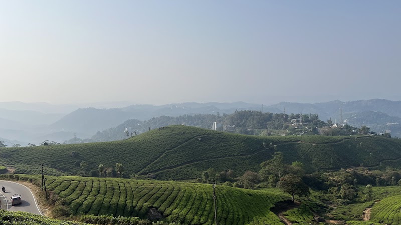 Munnar original special tea - Munnar original special tea 22rr+R28, Munnar - Aluva Rd, Mankulam, Kerala 685565, India