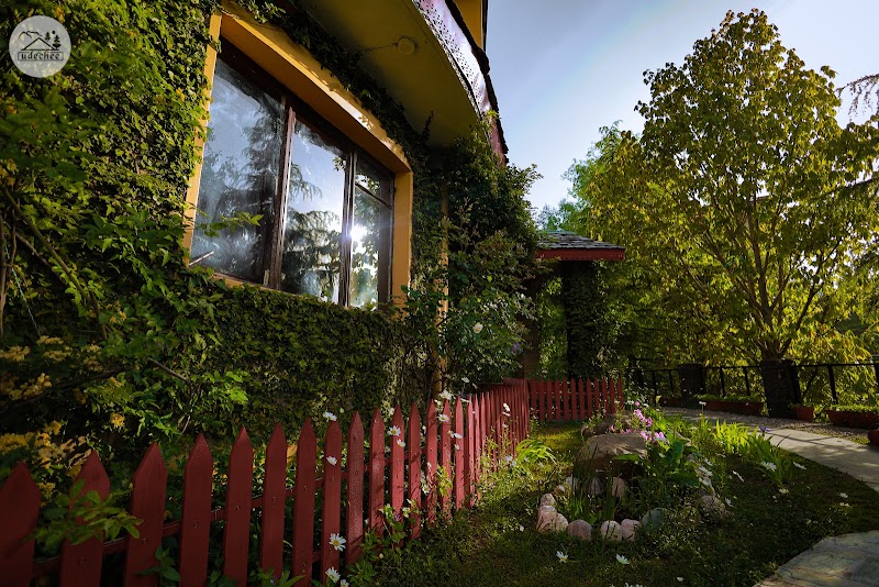 Hotel Udechee Huts - Hotel Udechee Huts Naddi, McLeod Ganj, Dharamshala, Himachal Pradesh 176216, India