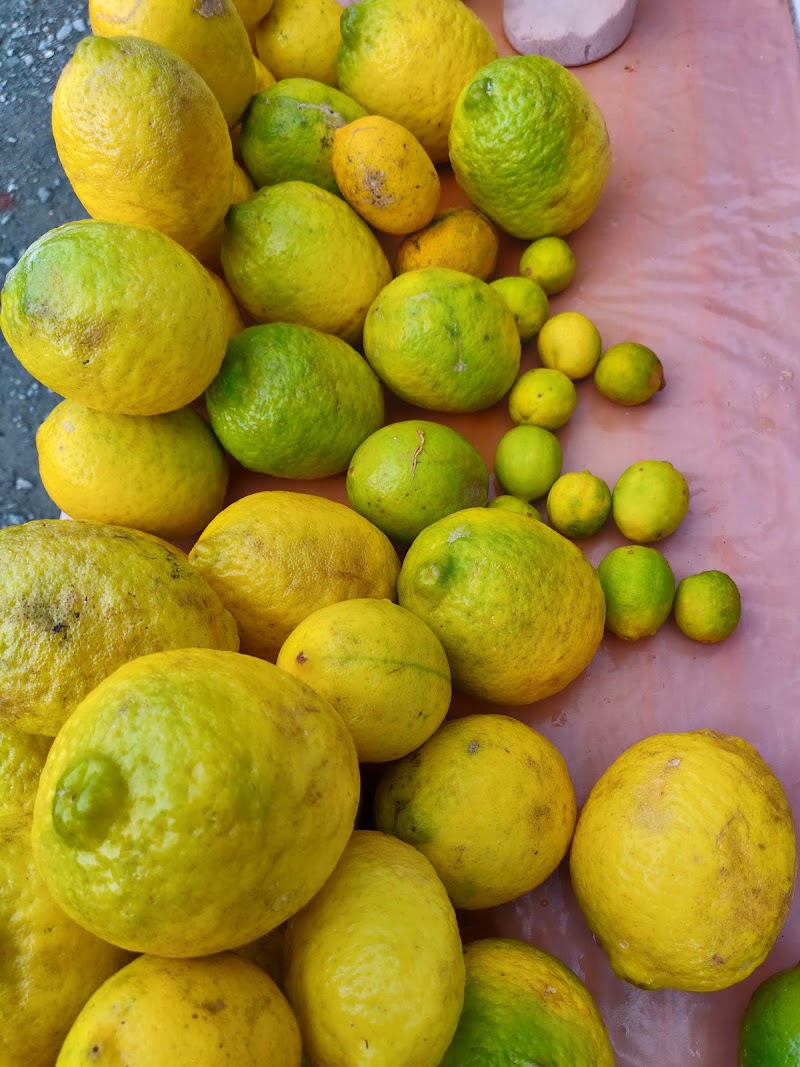 Naukuchiatal Market - Naukuchiatal Market, 8H9M+6CX, Naukuchia Tal Rd, Chunoti, Uttarakhand 263136, India