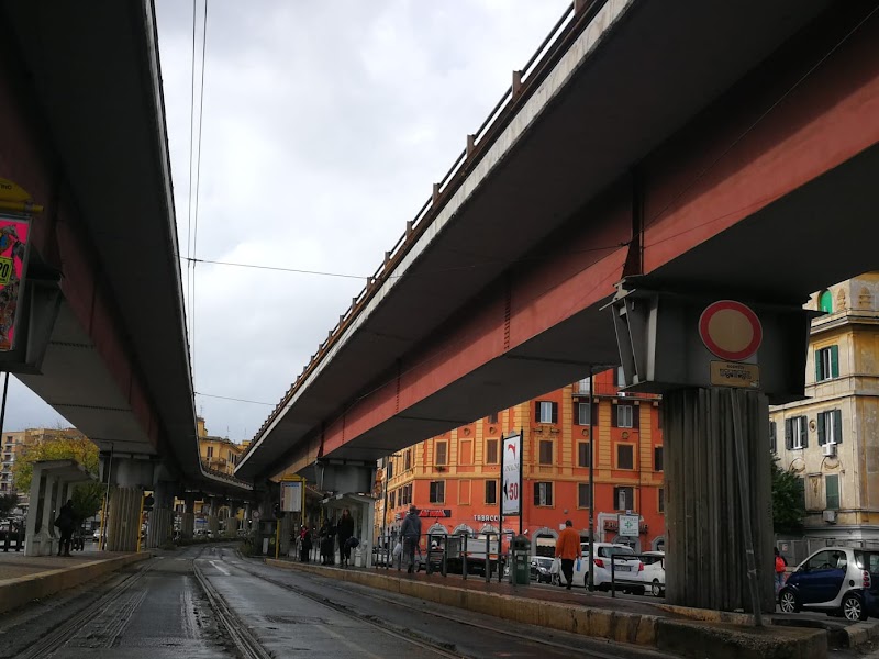 Pigneto - Pigneto, Rome, Metropolitan City of Rome Capital, Italy