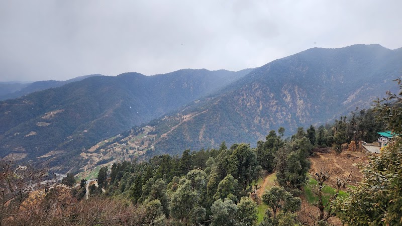 Anandam Hotel & Restaurant - Anandam Hotel & Restaurant Road for Roopkund Trek, Lohajung, Mundoli, Uttarakhand 246427, India
